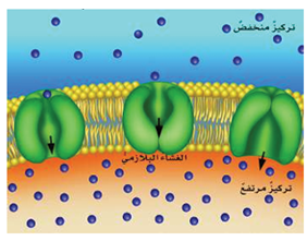 نقل نشط نقل نشط